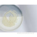 Freeze-dried 600 Billion CFU/g Lactobacillus Plantarum